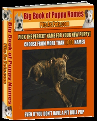 Product picture BIG Book of Puppy Names - Download eBooks