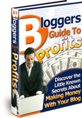 Product picture Bloggers Guide To Profits - Download Business