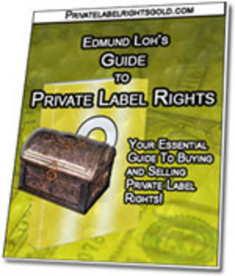 Product picture Guide to PLR  