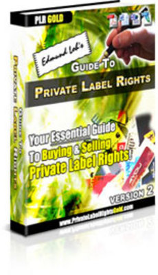 Product picture Guide to PLR 