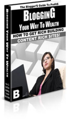 Product picture Blogging Your Way To Wealth (PLR) - Download eBooks