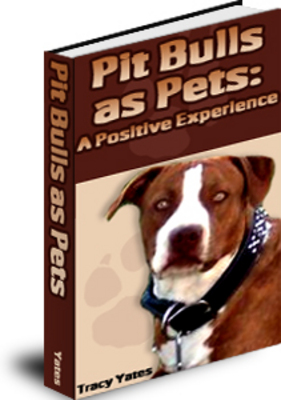 Product picture Bulls As Pets: A Positive Experience Ebook